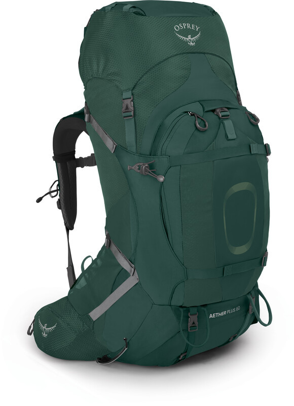 Osprey Aether Plus 60 Backpack, axo green L/XL 2021 Plecaki turystyczne 1-038-409-L/XL