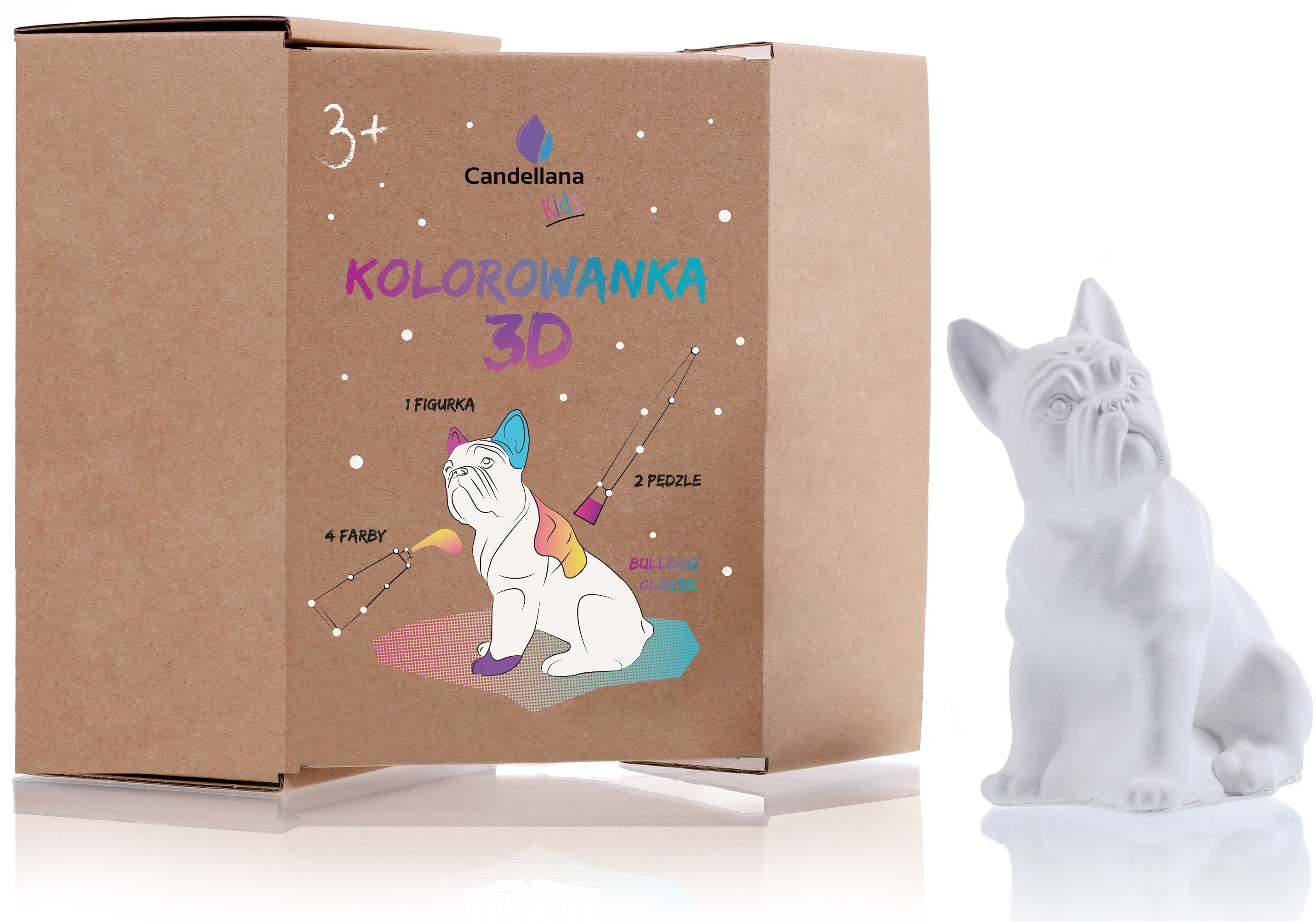 Candellana Kolorowanka 3D Buldog Classic