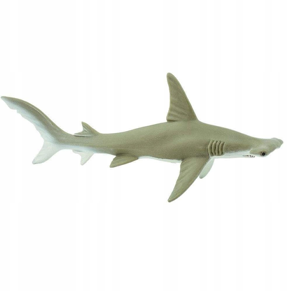 Safari Rekin Młot - Hammerhead Shark Ltd. - 274829