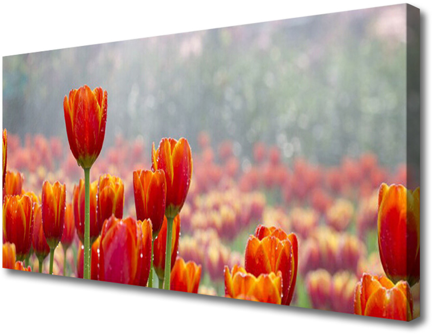 PL Tulup Obraz Canvas Tulipany Kwiaty Roślina 140x70cm