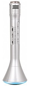 Party Light&Sound Mikrofon z głośnikiem do karaoke Party KAMIC kolor srebrny KAMIC-VC-SI