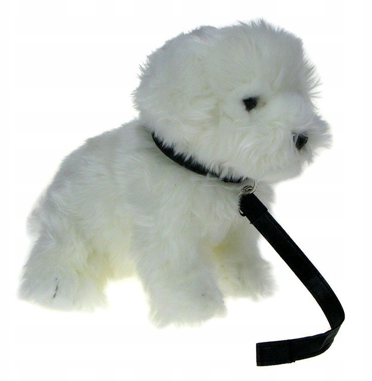Zoo: maskotka Pies Maltańczyk na smyczy 23cm 90892