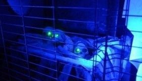 Laserowy paintball dla grupy przyjaciół - Kraków II LPDGP