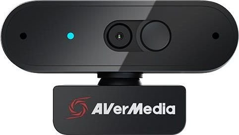 AVERMEDIA PW310P