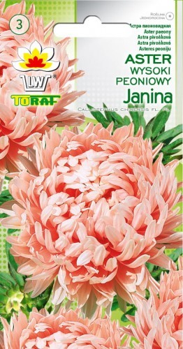 Toraf Aster wysoki peoniowy janina 1g Nas000480