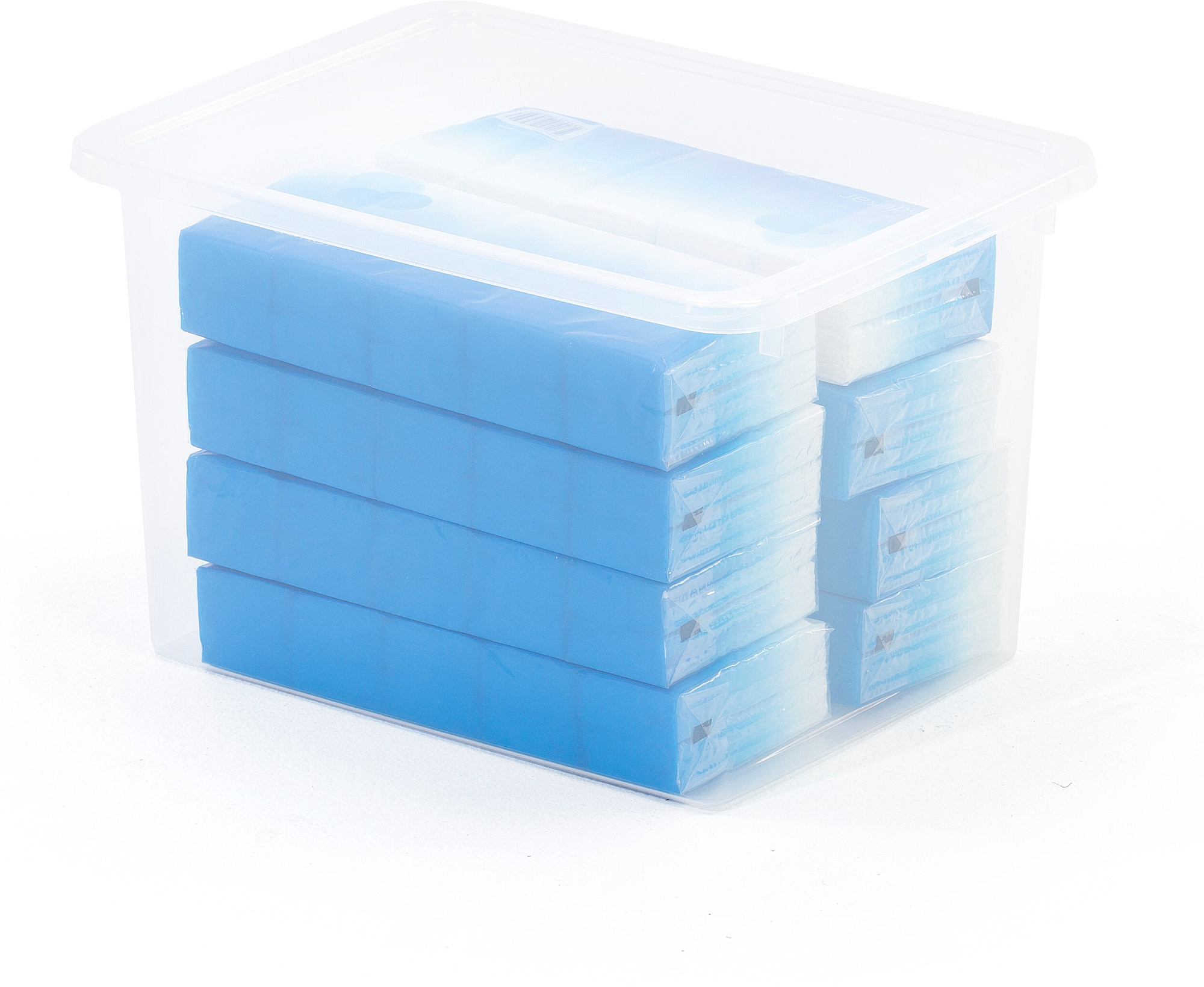 AJ Produkty Pojemnik plastikowy, 20 litrów, przezroczysty