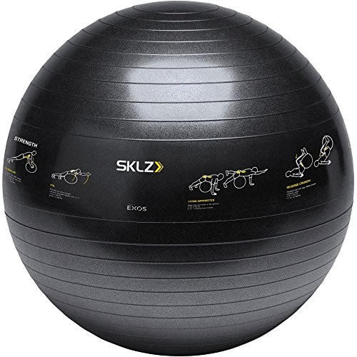 SKLZ sklz APD-TB-SPT-04 treningowa piłka aufgedruckete ćwiczeń 65 cm Trainer, czarny, jeden rozmiar APD-TB-SPT-04