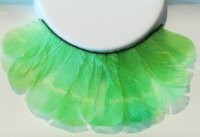 Eulenspiegel Rzęsy 000540  , zielona sprężyny 4028362000540