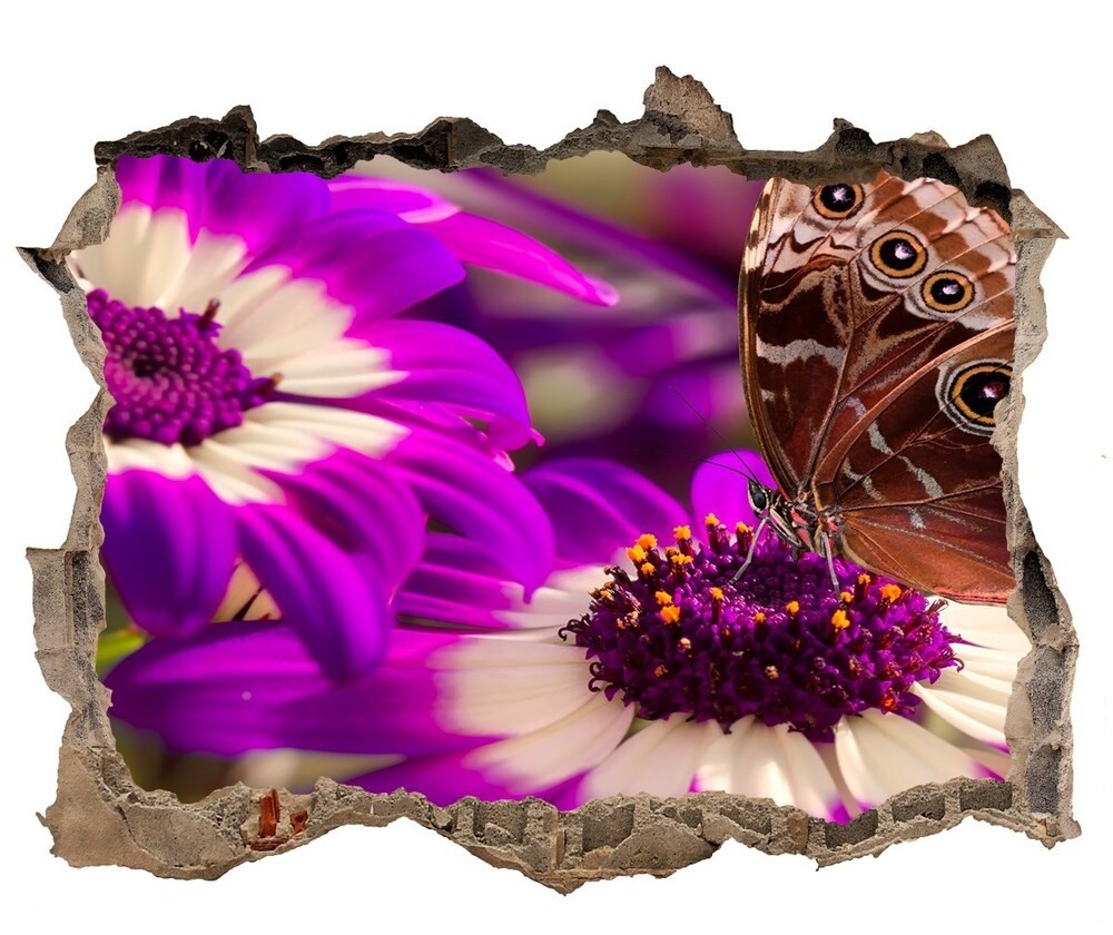 Wallmuralia.pl Samoprzylepna dziura na ścianę Motyl na kwiatku