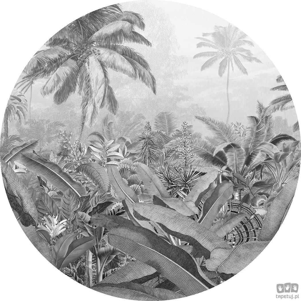 Komar Fototapeta Amazonian Spirit D1-055 D1-055