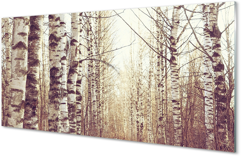 Tulup.pl Szklany Panel Drzewa 120x60cm