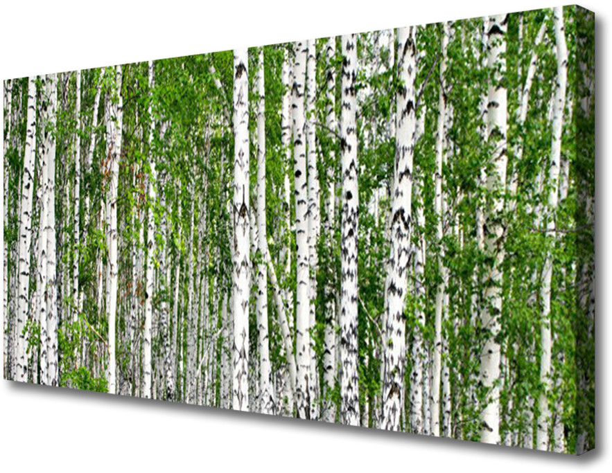 PL Tulup Obraz na Płótnie Brzoza Las Drzewa Natura 140x70cm