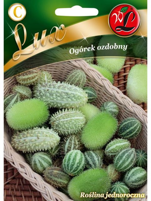 Legutko Ogórek ozdobny MIESZANKA GATUNKÓW