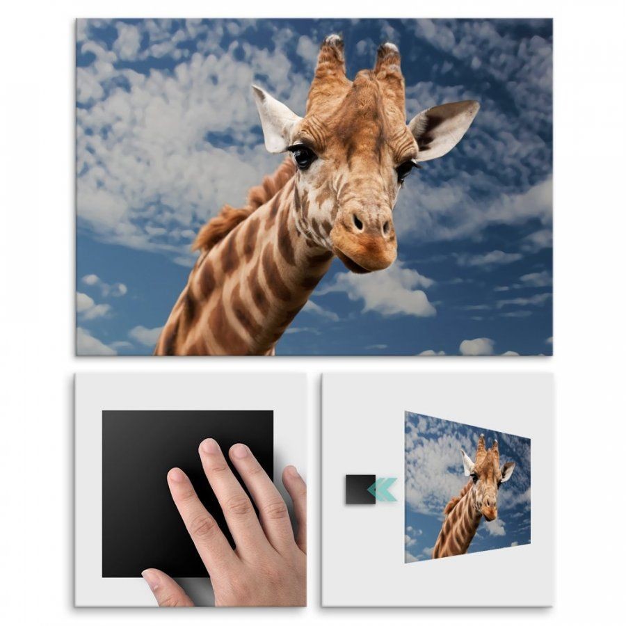 Pix4home Plakat metalowy żyrafa L POS-L-01761
