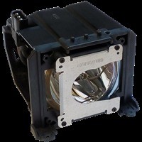 LG Lampa do BN315 - oryginalna lampa w nieoryginalnym module AJ-LBN3 / EAQ30187901