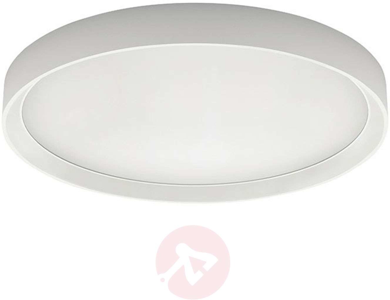 Linea Light Lampa sufitowa LED Tara R, okrągła, 51 cm