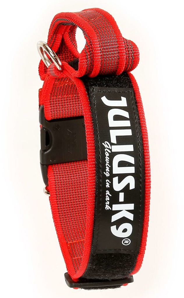 Julius-K9 100Ha-K-R-2015 Color & Gray Halsband Mit Haltegriff, Sicherheitsverschluss Und Logo, Verstellbar, Rot/Grau