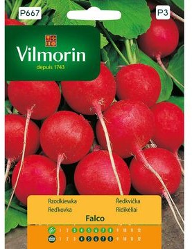Vilmorin Nasiona rzodkiewka Falco okrągła czerwona