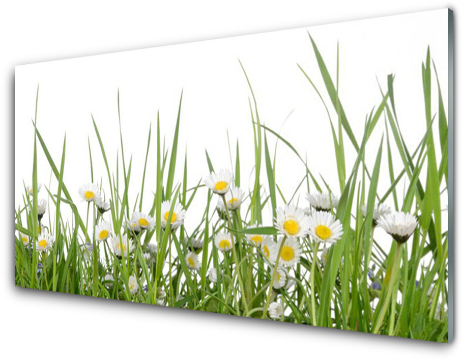 Tulup.pl Panel Kuchenny Trawa Stokrotki Natura 100x50cm