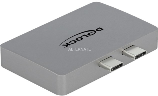 Delock 64001 adapter kablowy 2 x USB Type-C 2 x DisplayPort Szary 4043619640010