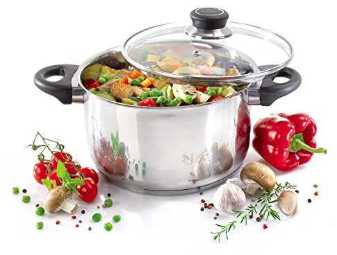 Krüger Karl  garnek do mięsa, Denver, rondel z pokrywą szklaną, wykonana ze stali nierdzewnej, do wyboru różne rozmiary, srebro, 24 cm 101024 DE