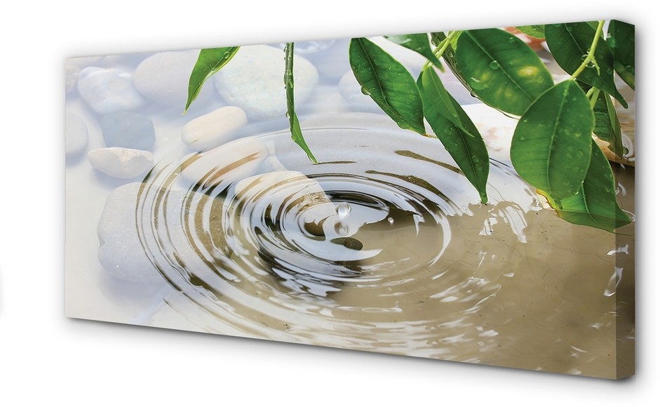 PL Tulup Obrazy na płótnie Woda kropla plusk 140x70cm