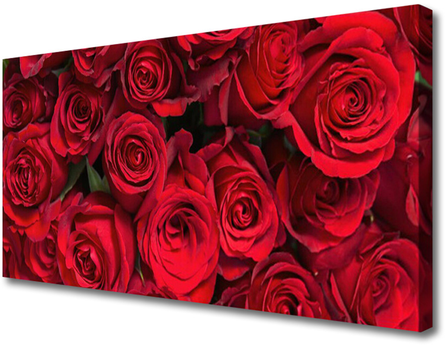 PL Tulup Obraz Canvas Czerwone Róże Kwiaty Natura 100x50cm