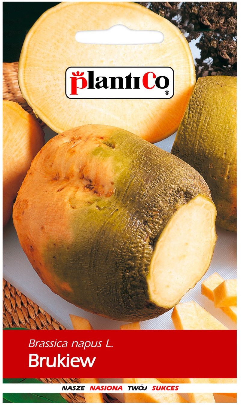 Plantico Brukiew