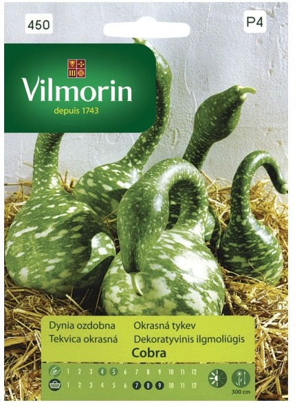 Vilmorin Nasiona dynia ozdobna Cobra