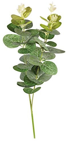 Rayher Hobby 55798000 eukaliptus gałąź akcesoria, tworzywo sztuczne, wielokolorowa, One Size