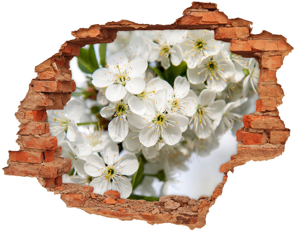 Wallmuralia.pl Samoprzylepna dziura naklejka Kwiaty wiśni