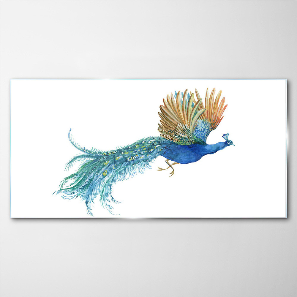 PL Coloray Obraz Szklany zwierzę ptak paw 120x60cm