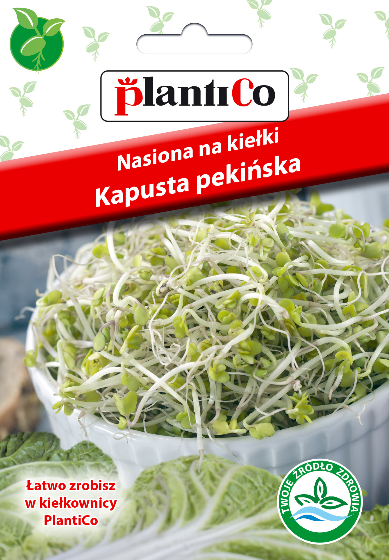 PlantiCo Nasiona na kiełki Kapusta pekińska 100539
