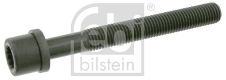 FEBI BILSTEIN Sruba głowicy cylindrów 06666