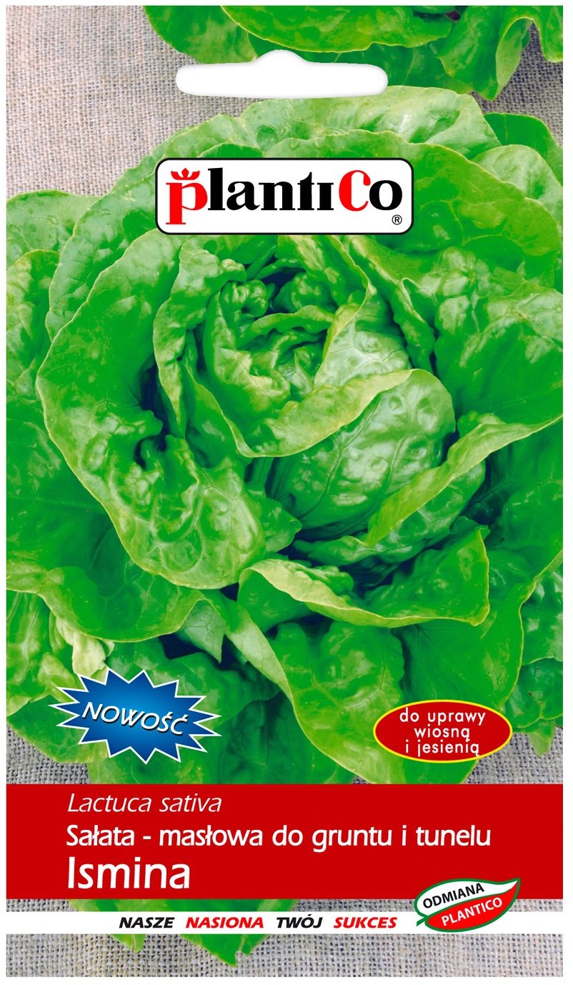 Plantico Sałata Ismina