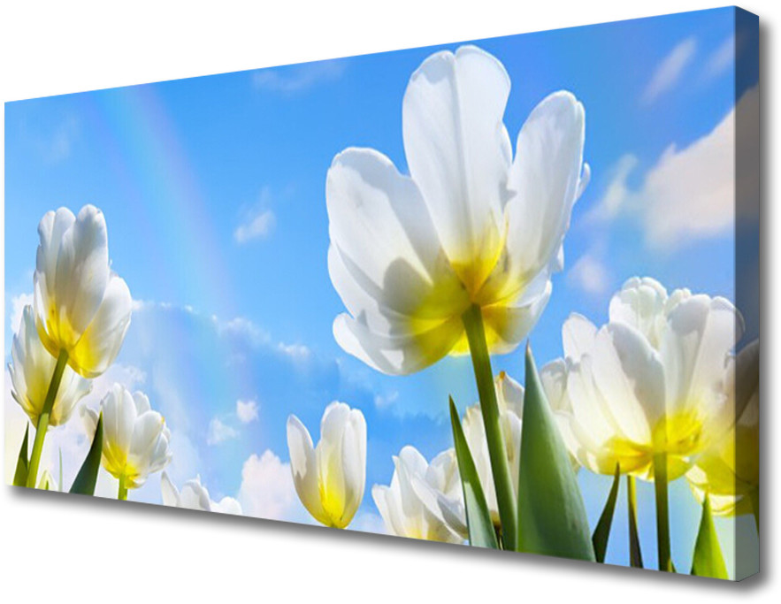 PL Tulup Obraz Canvas Rośliny Kwiaty Tulipany 120x60cm