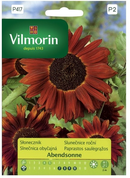 Vilmorin Nasiona słonecznik Abendsonne