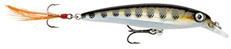 Rapala wobler X-Rap uzupełniania świeżej wody TR Brown Trout, 8 cm XR8-MD