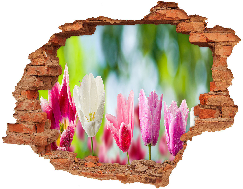 Wallmuralia.pl Fototapeta dziura na ścianę Tulipany
