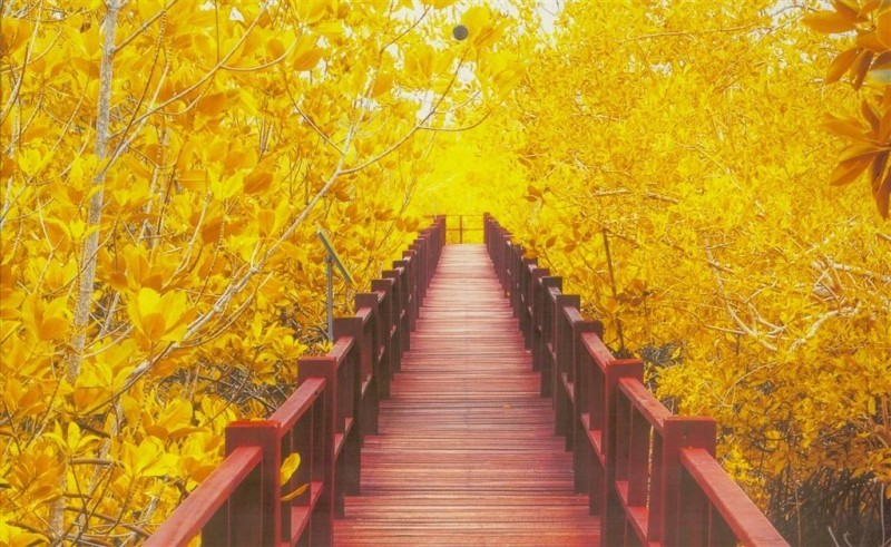 Aniew Kalendarz 2019 Trójdzielny Most