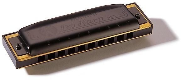 Hohner Pro Harp MS D