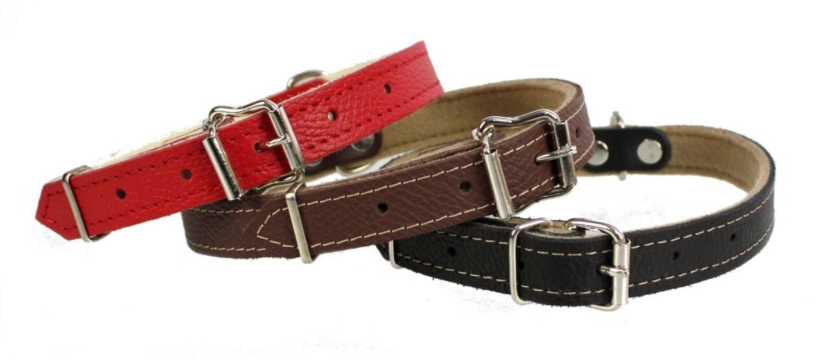 dr Seidla ZOO LESZCZ (PL) Soldina Dla Psa Skóra Naturalna 25 mm / 60 cm ZLO157 ZOO LESZCZ (PL)