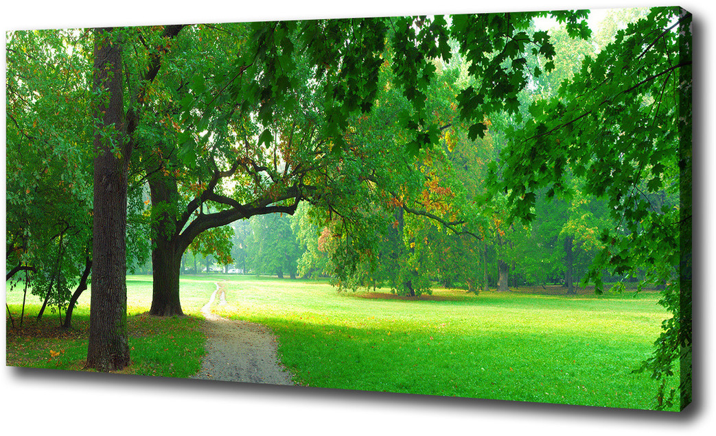 Foto obraz na płótnie Park jesienią
