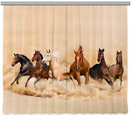 AG Design fcsxxl 7422 koni, firanka/zasłona, 280x245 cm, 2 części (140x245 cm), materiału, multicolor, 0,1x280x245 cm FCSxxL 7422