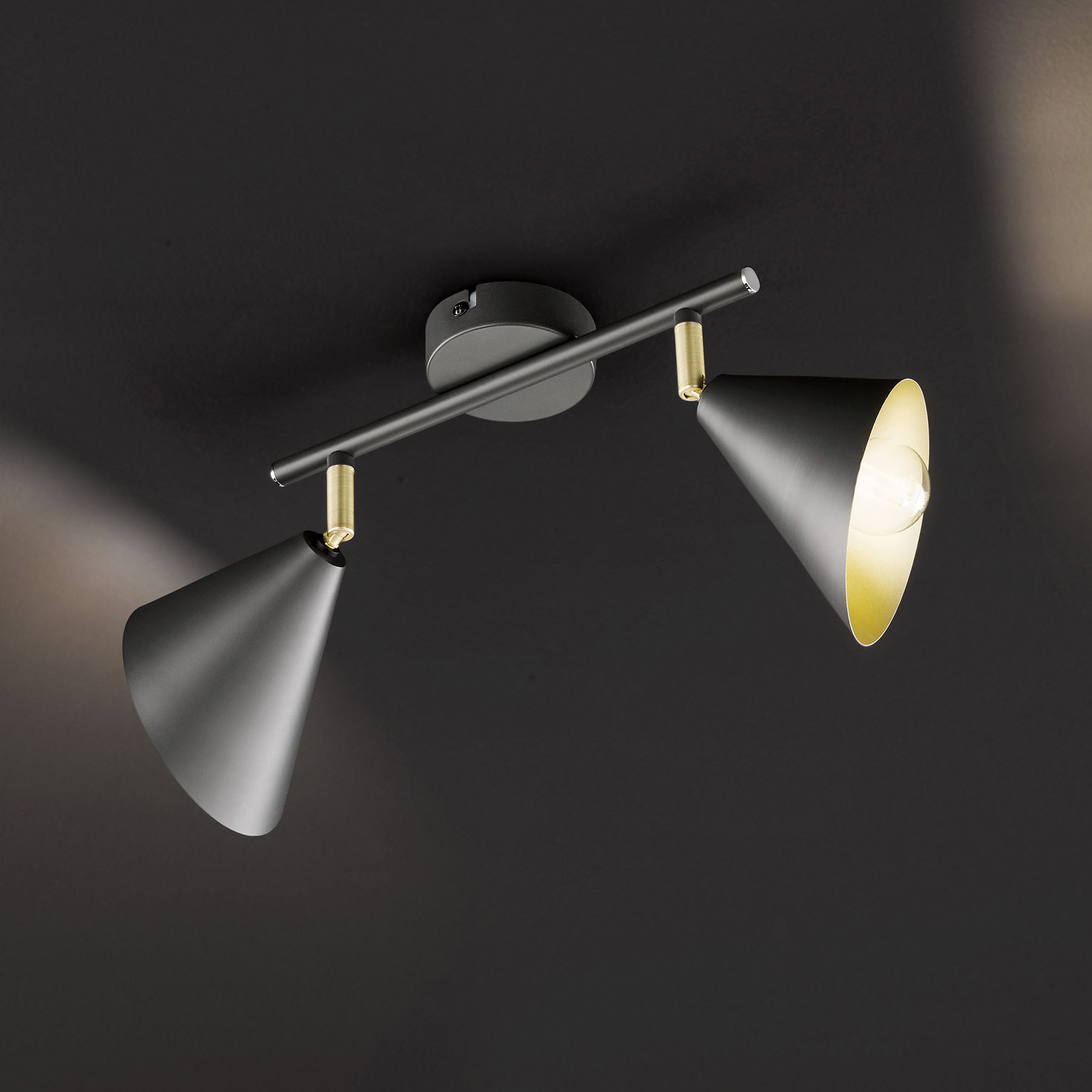 Wofi Lampa sufitowa Gloria, regulowana, 2-punktowa