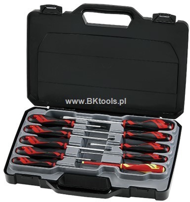 TENG TOOLS Zestaw wkrętaków- płaskie i krzyżowe 10 szt 185880101 MD910N