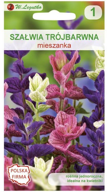 Legutko Szałwia trójbarwna MIESZANKA