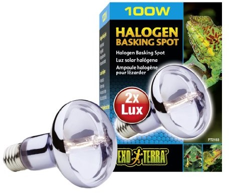 Exo Terra Halogen Basking Spot - szerokie spektrum światła dziennego PT2183