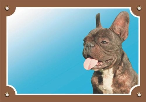 Nobby 93075 znak ostrzegawczy francuski buldog