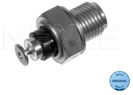 Wulf Gaertner Autoparts Czujnik, temperatura płynu chłodzącego Wulf Gaertner Autoparts 100 919 0015 100 919 0015